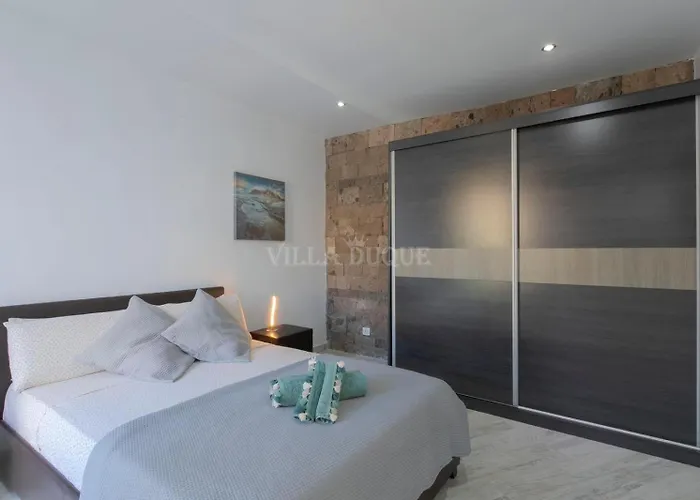 El Duque Modern With Pool 别墅 阿德耶